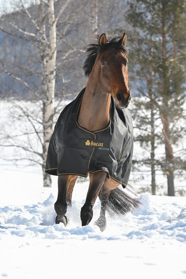 Derka padokowa Bucas Irish Turnout 300g AW26 Black/Gold