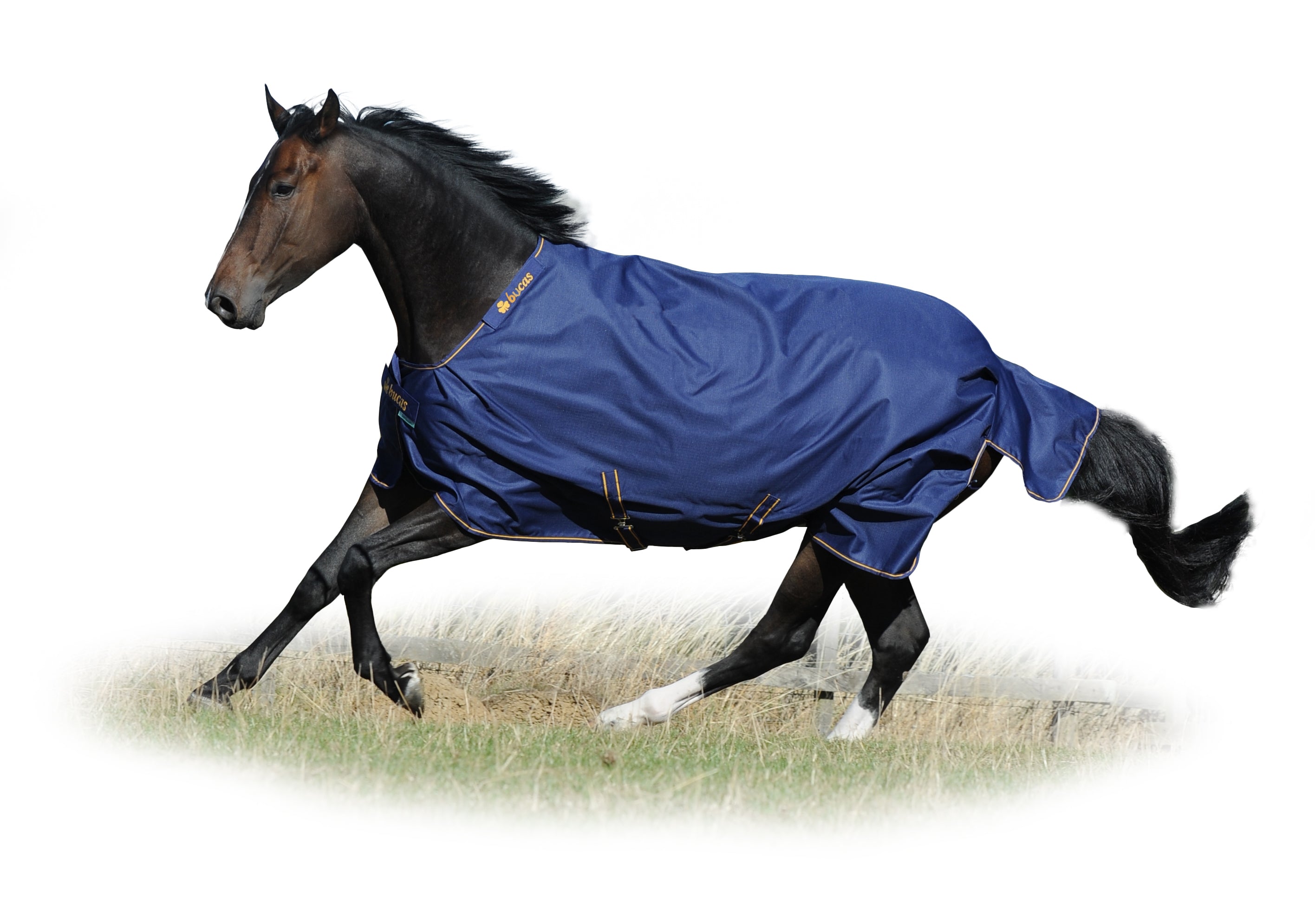 Derka padokowa Bucas Irish Turnout 50g Navy/Gold