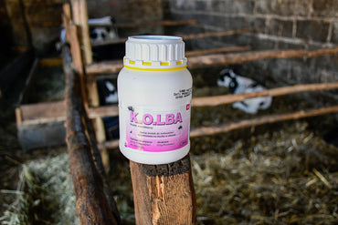 Środek owadobójczy na muchy KOLBA koncentrat 500 ml Kerbl