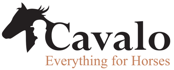Cavalo
