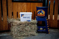 Cavalor Resist + Vit C - Suplement na odporność dla konia