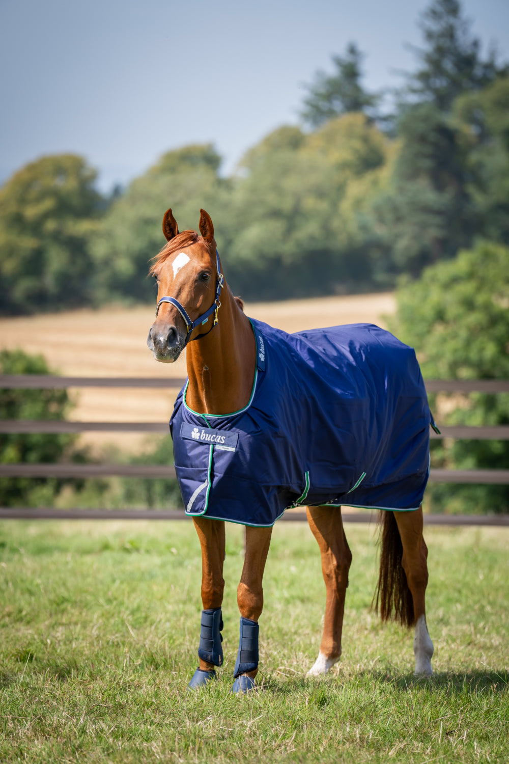 Derka padokowa Bucas Smartex Medium Blue
