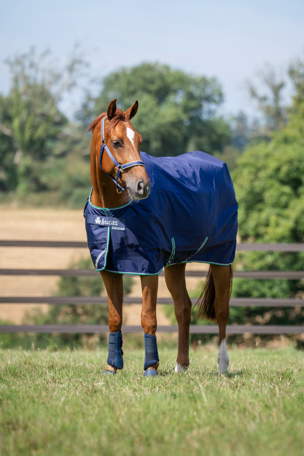 Derka padokowa Bucas Smartex Medium Blue