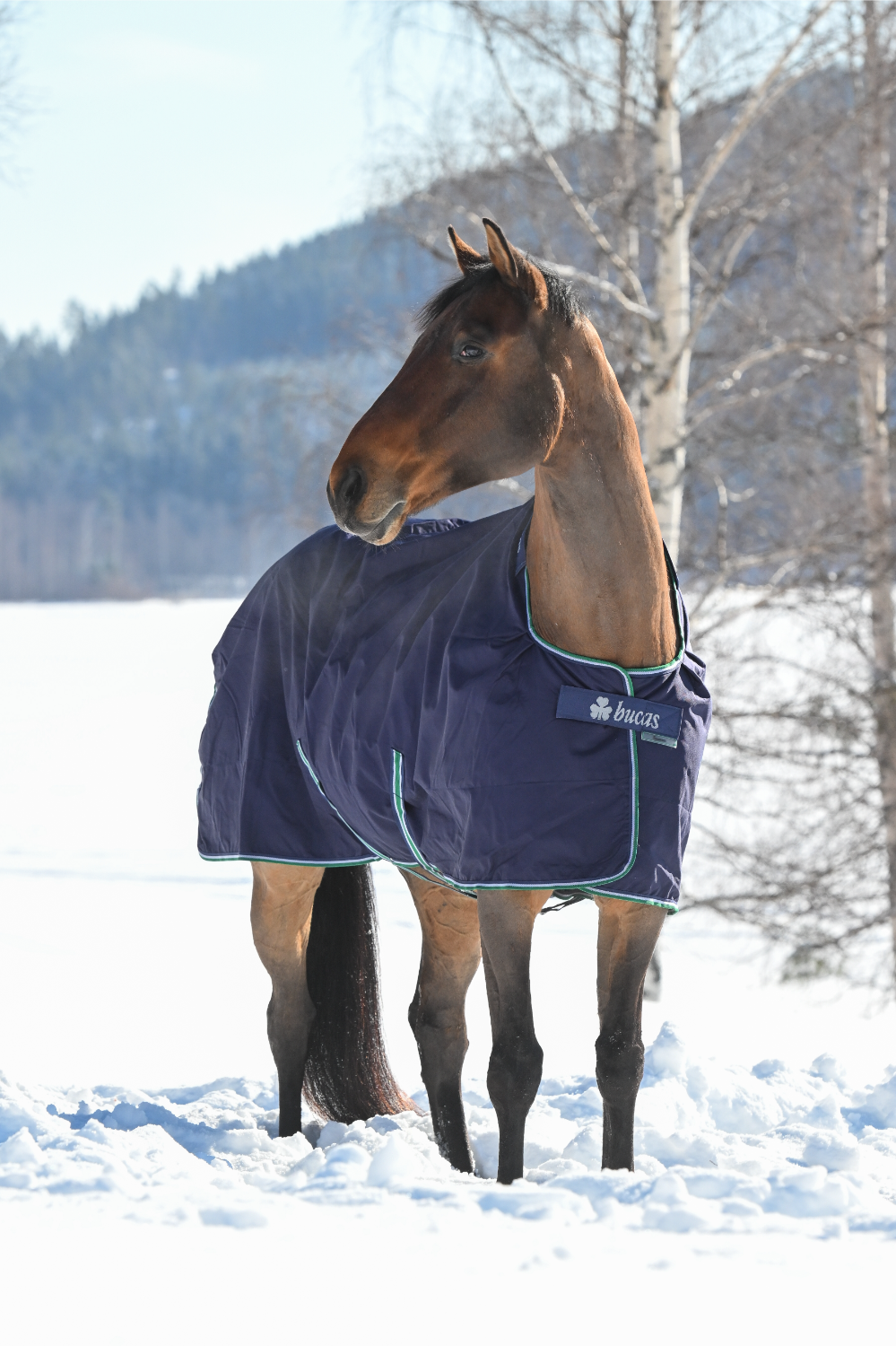 Derka padokowa Bucas Smartex Medium Blue