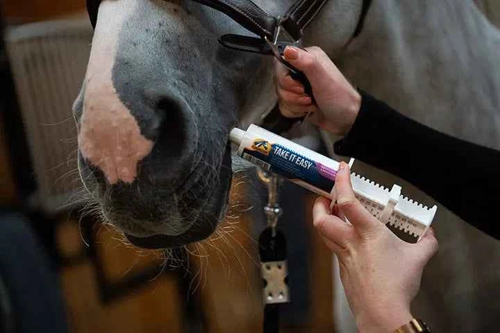 Cavalor Take It Easy – szybkie i skuteczne wsparcie w sytuacjach stresowych