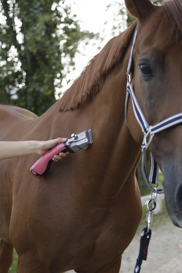 Maszynka do strzyżenia koni Bonum, z akumulatorem, zestaw ostrzy GT505/GT502, różowa, Aesculap - Cavalo