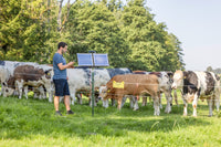 Elektryzator solarny AKO Sun Power S4000 Smart dla koni, bydła, dzikiej zwierzyny 5,5J - Cavalo