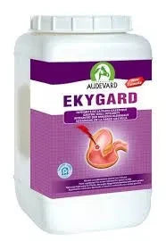AUDEVARD EKYGARD na wsparcie żołądka - Cavalo