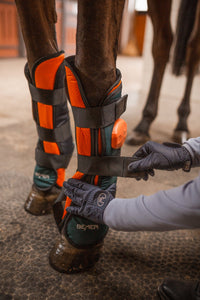BEMER Perfect Horse Duo – kompleksowa terapia dla Twojego konia - Cavalo