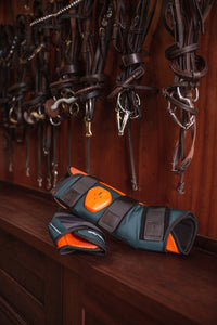 BEMER Perfect Horse Duo – kompleksowa terapia dla Twojego konia - Cavalo
