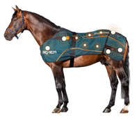 BEMER Perfect Horse Duo – kompleksowa terapia dla Twojego konia - Cavalo