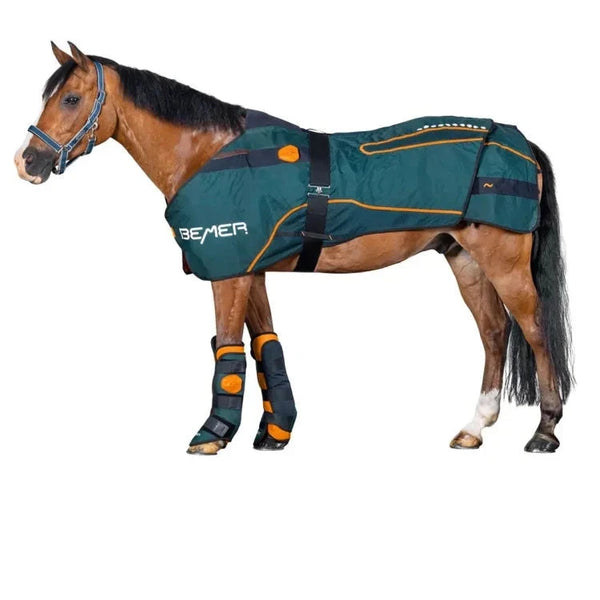Derka Zestaw BEMER Horse – kompleksowa terapia dla Twojego konia