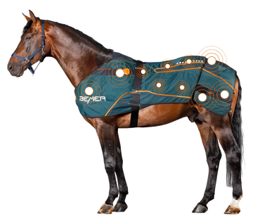 Derka Zestaw BEMER Horse – kompleksowa terapia dla Twojego konia
