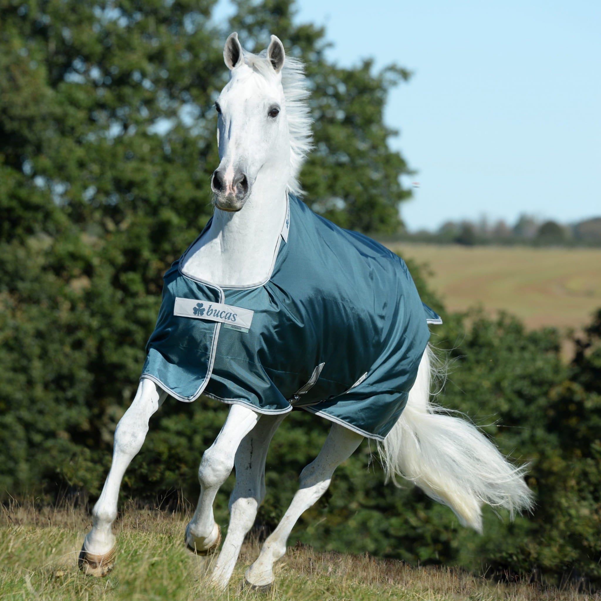 Derka Bucas Atlantic Turnout green 50g green - Cavalo
