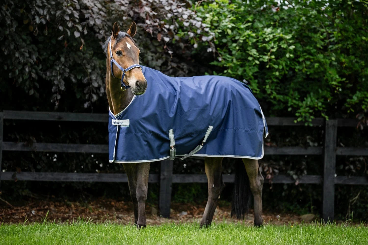 Derka Bucas Freedom Turnout High Neck 150g Navy/Silver - Cavalo