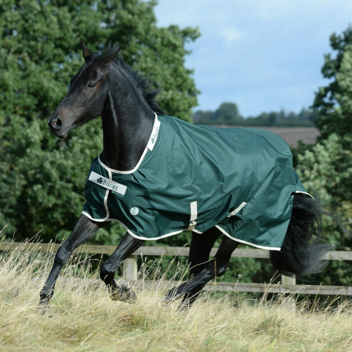 Derka Bucas Greenline Turnout Green/Cream 100g - Cavalo