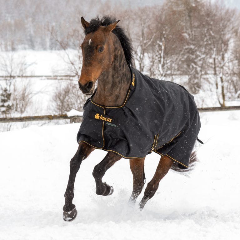 Derka Bucas Irish Turnout 50g High Neck black/gold - Cavalo