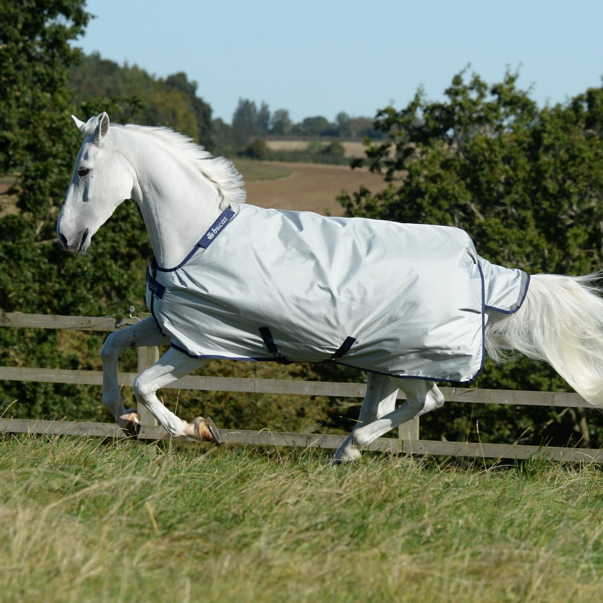 Derka Bucas Power Turnout light silver - Cavalo
