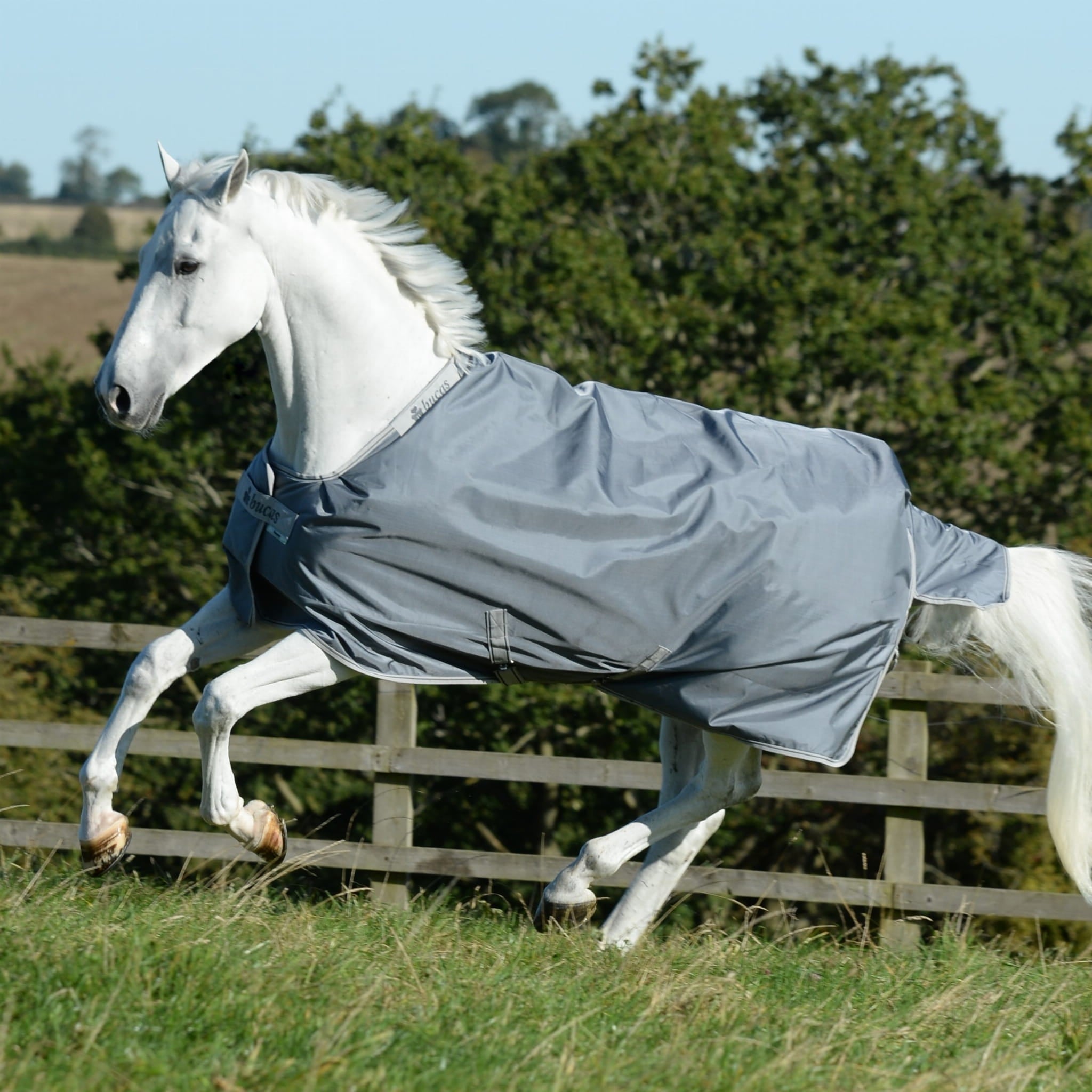 Derka Bucas Smartex Rain Iron Gate - Cavalo