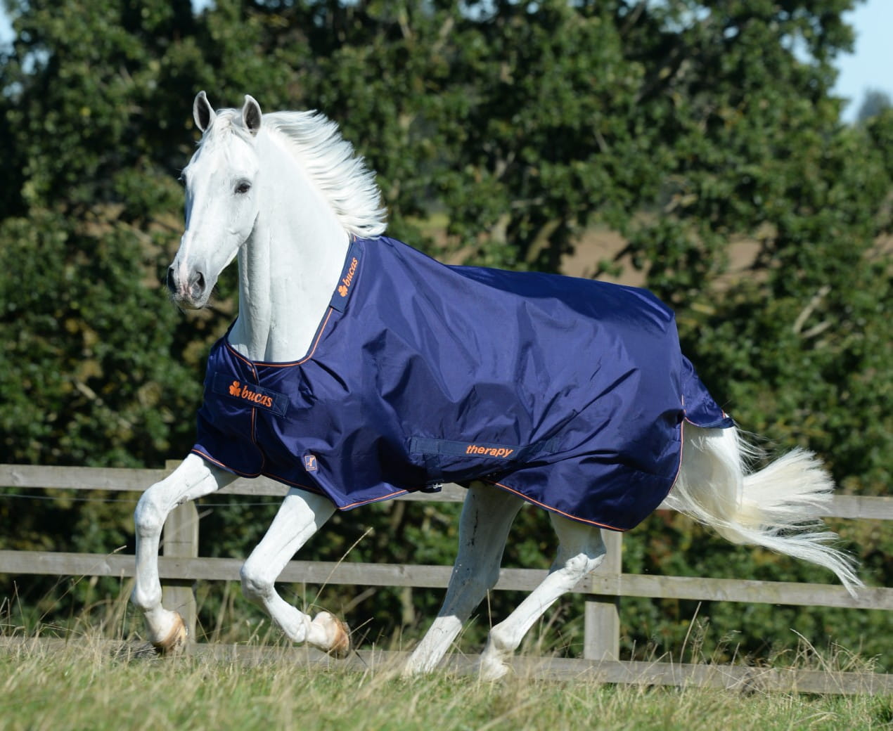 Derka Bucas Therapy Turnout Light 50g Navy/orange - Cavalo