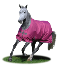 Derka padokowa Bucas Freedom T/O 150g - Cavalo