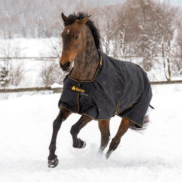 Derka padokowa Bucas Irish Turnout 100g Black/Gold - Cavalo