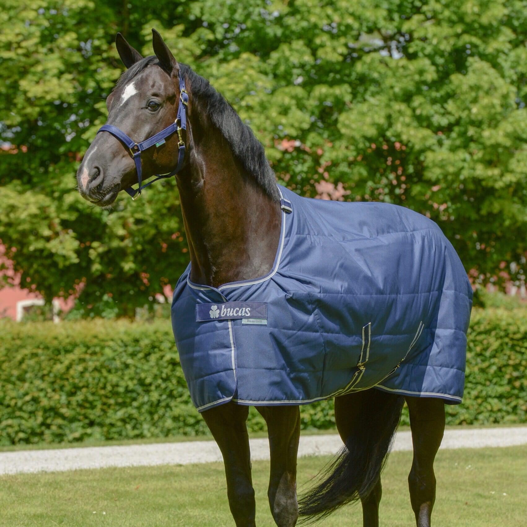 Derka stajenna Bucas Quilt 50g - Cavalo