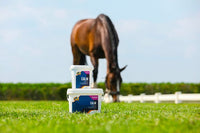 Suplement dla koni nerwowych Cavalor Calm