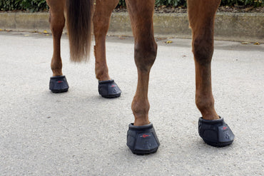 But dla konia, roz. 7, czarny, Covalliero - Cavalo