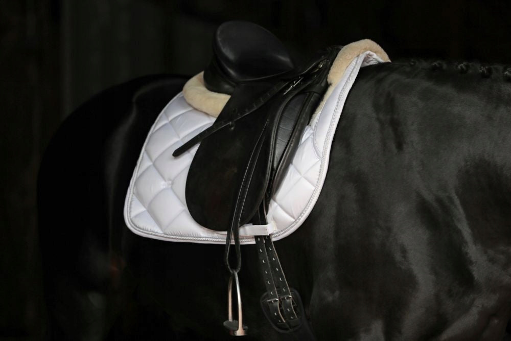Czaprak Empara ujeżdzeniowy Covalliero granatowy - Cavalo