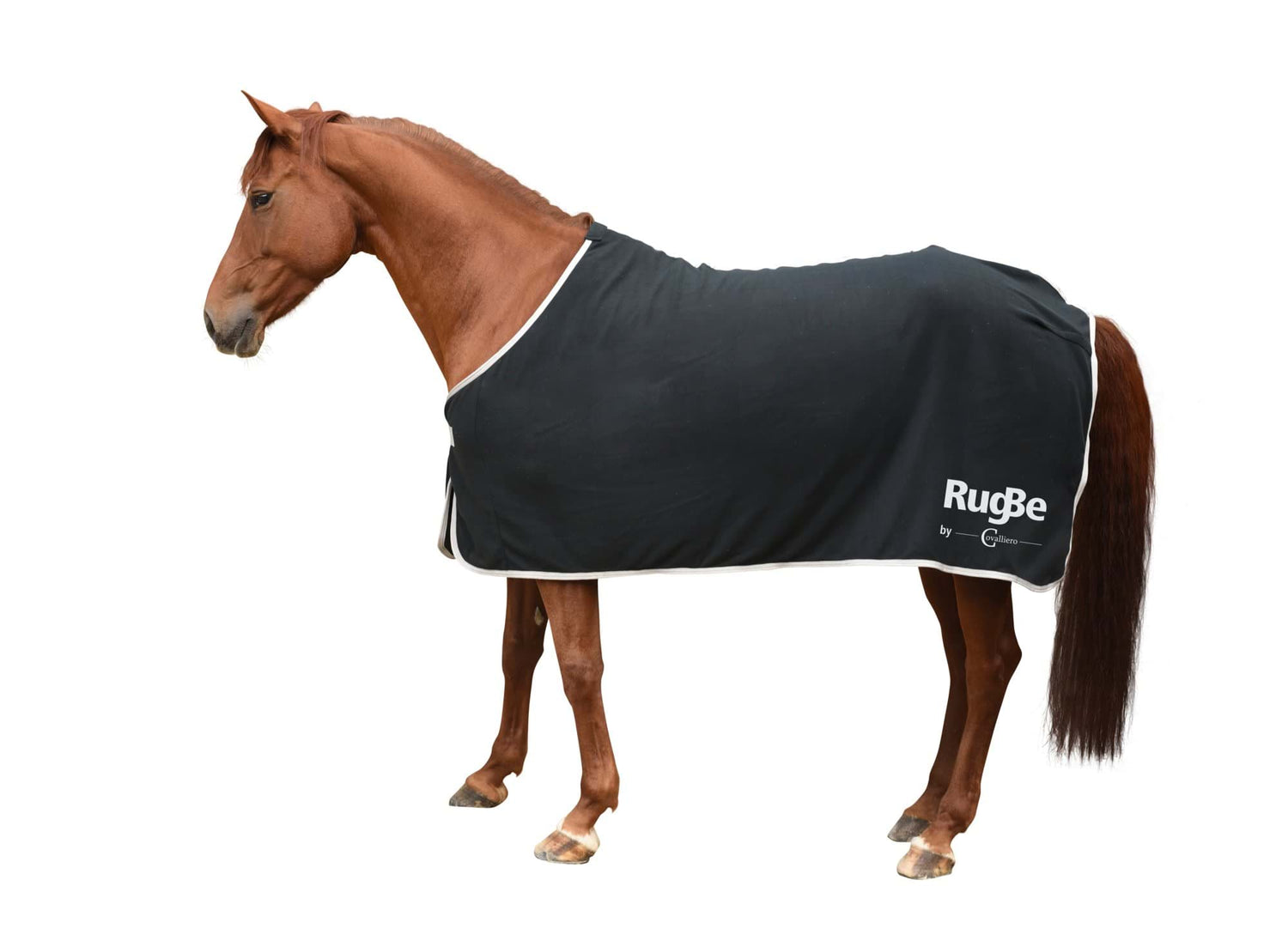 Derka polarowa dla konia RugBe Economic Covalliero - Cavalo