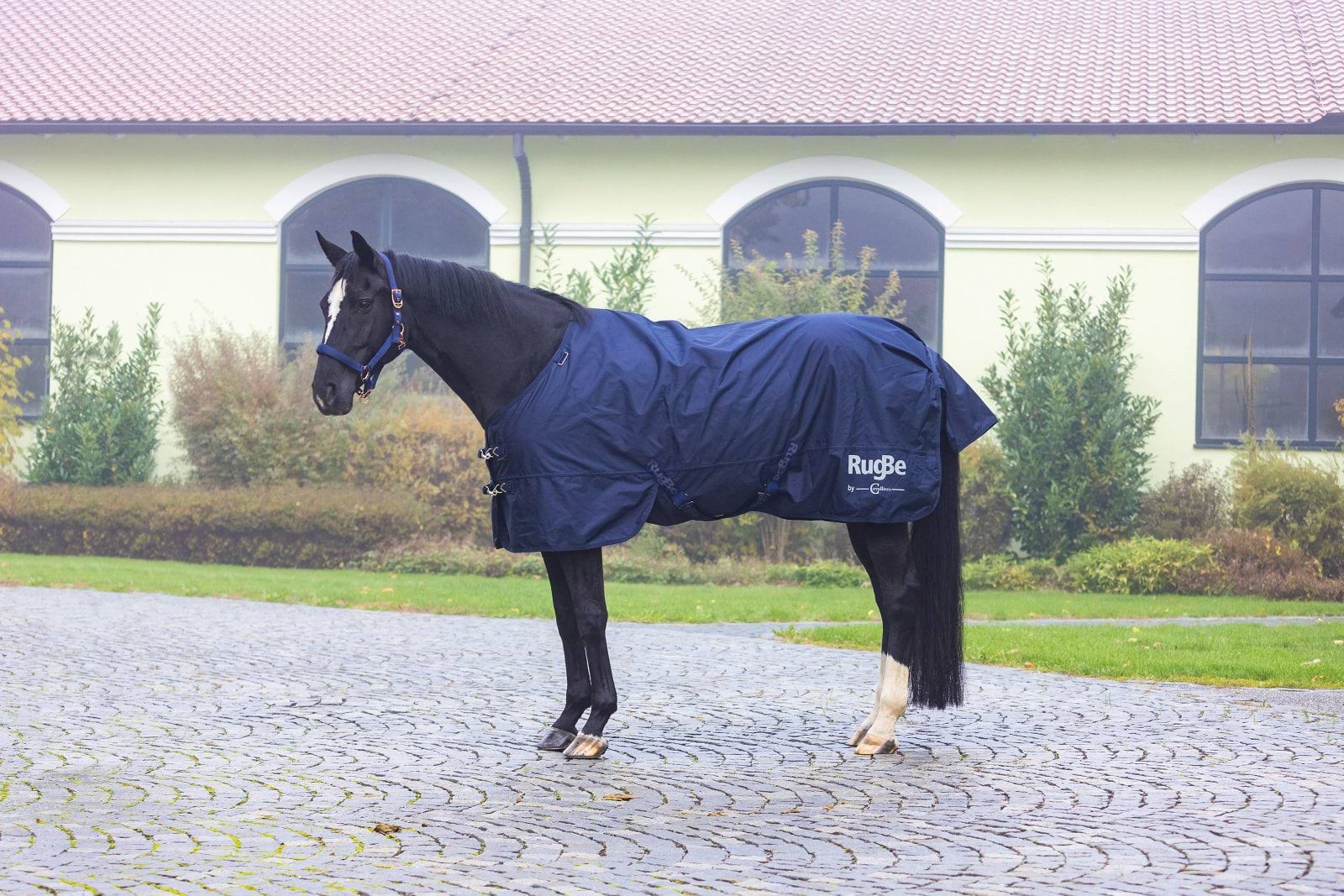 Derka przeciwdeszczowa dla konia RugBe Zero granatowy Covalliero - Cavalo