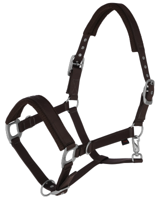 Kantar Covalliero S/S 2024 Chocolate - Cavalo