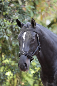 Kawecan dla konia czarny Covalliero - Cavalo