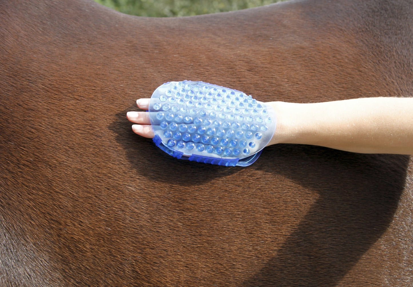 Magnetyczne zgrzebło do masażu konia Covalliero - Cavalo