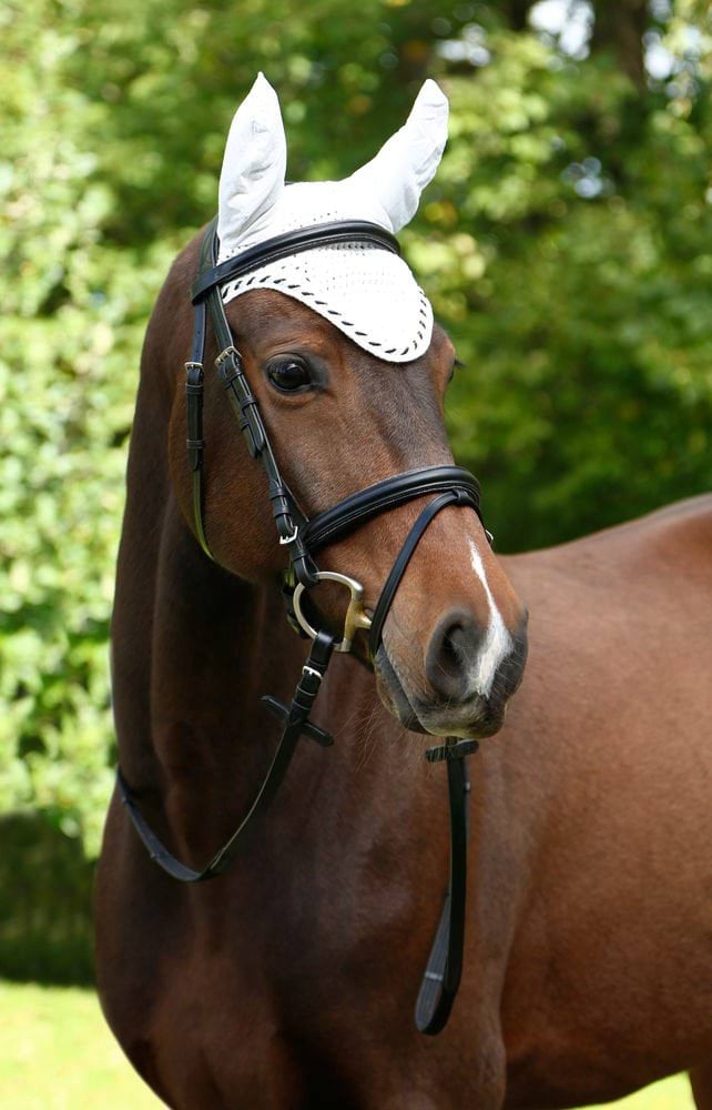 Nauszniki dla konia Classic, biały, roz. Full, Covalliero - Cavalo