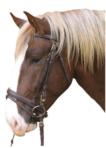Ogłowie dla konia zimnokrwistego, brązowy, Covalliero - Cavalo