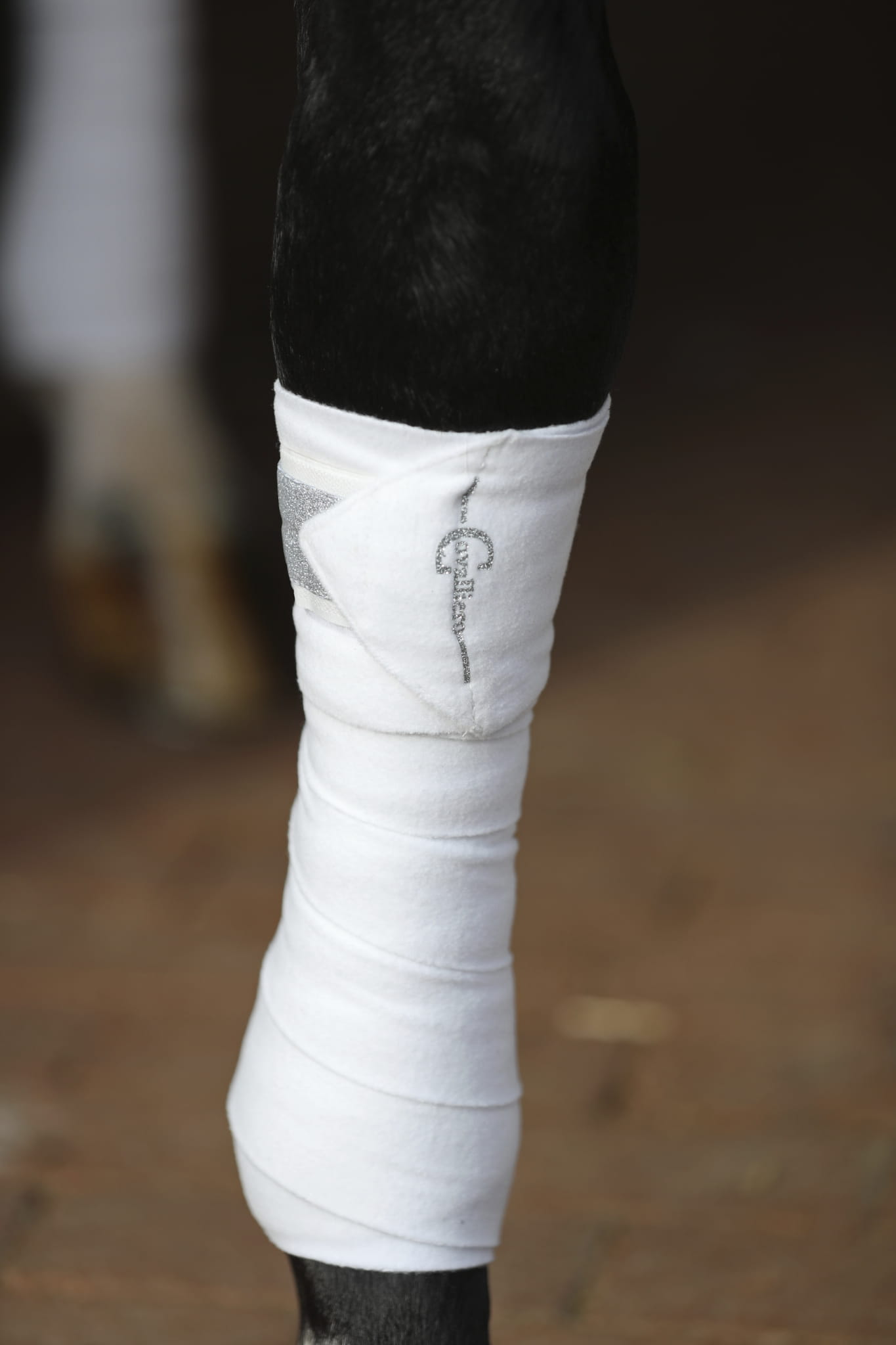 Owijki dla konia Empara 300 cm 4 szt Covalliero - Cavalo