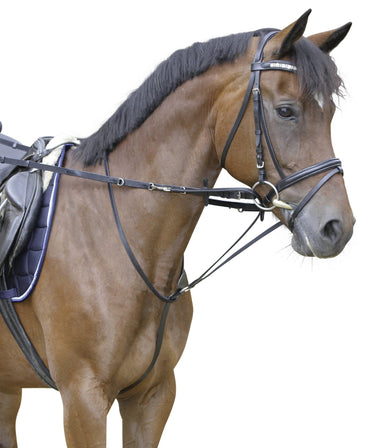 Wodze Thiedermann czarny Covalliero - Cavalo