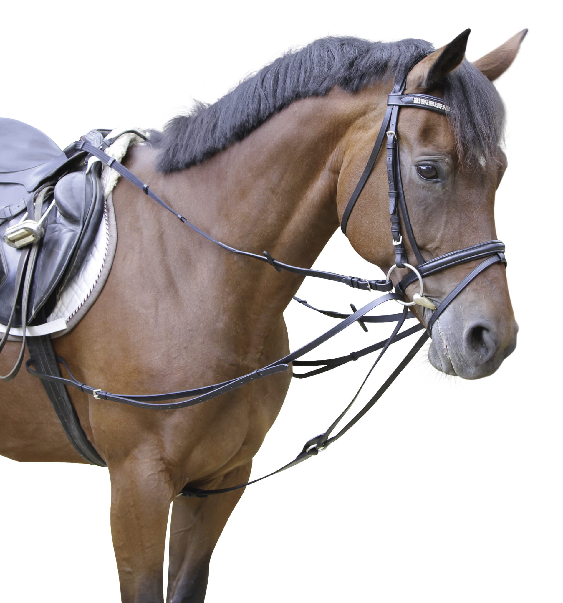 Wypinacze trójkątne czarny Covalliero - Cavalo