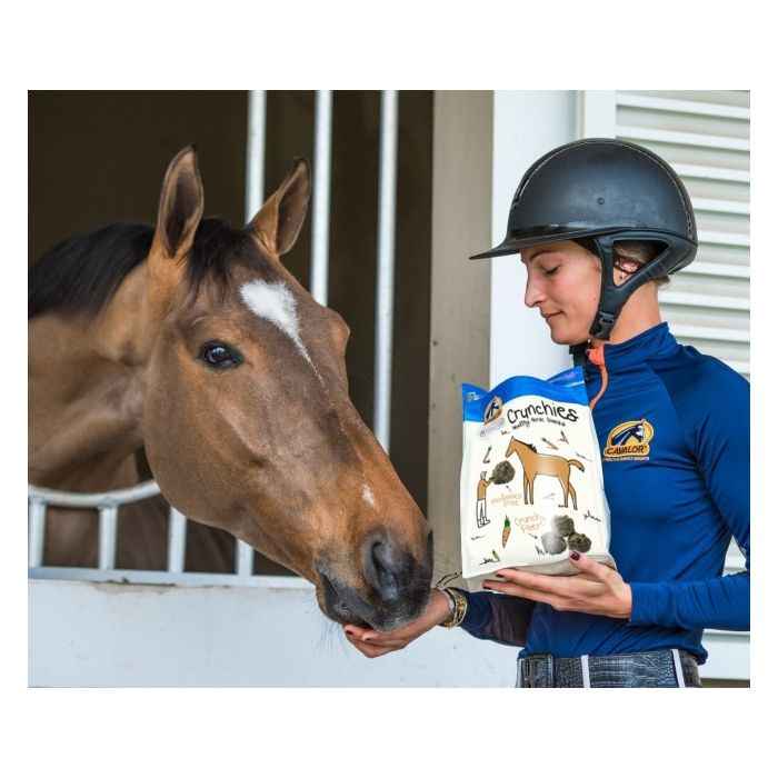 Cavalor Crunchies 1,5 kg Smaczki dla koni o smaku marchewkowym