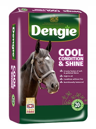 DENGIE Cool Condition & Shine sieczka 20 kg - Cavalo