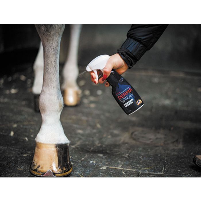 Spray na rany i podrażnienia dla konia Cavalor Derma Spray 250 ml