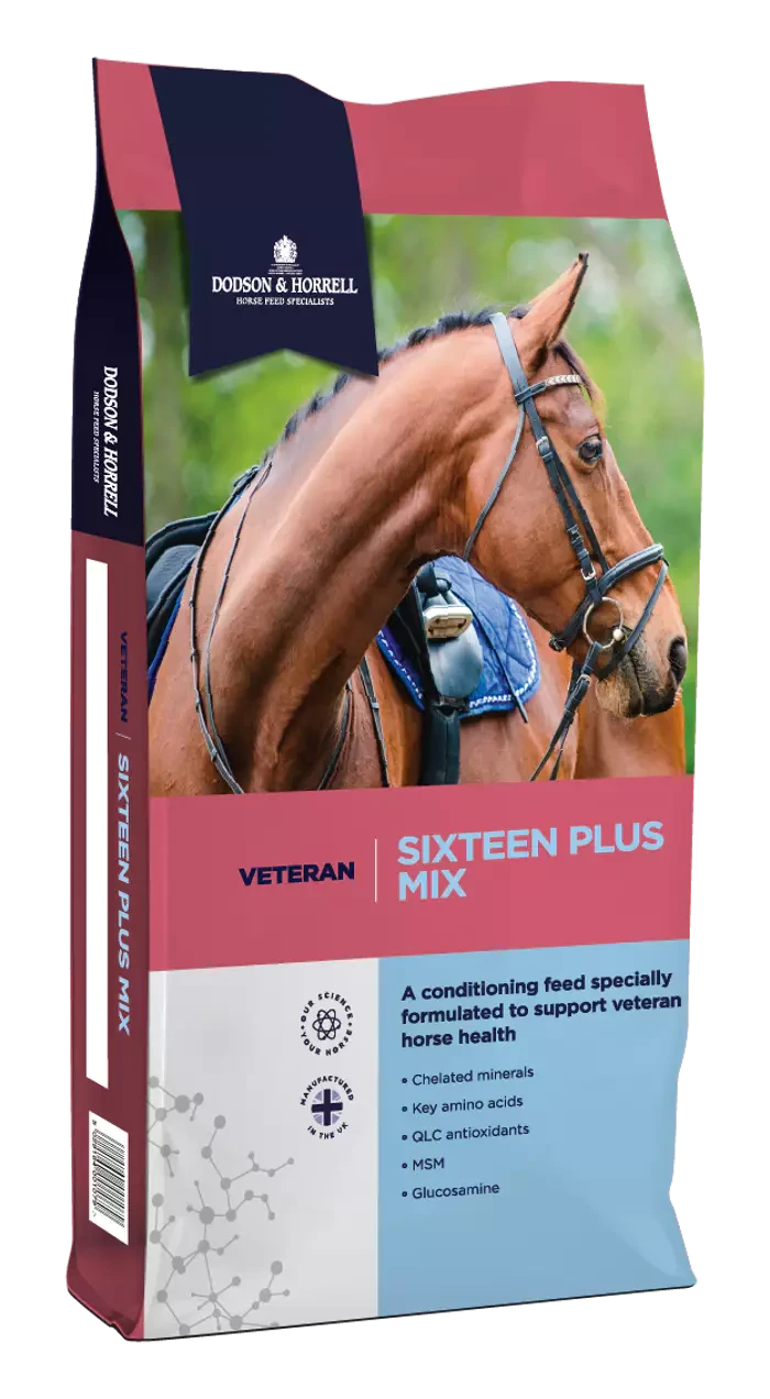 Dodson & Horrell Sixteen Plus Mix Musli dla starszych koni 20 kg - Cavalo