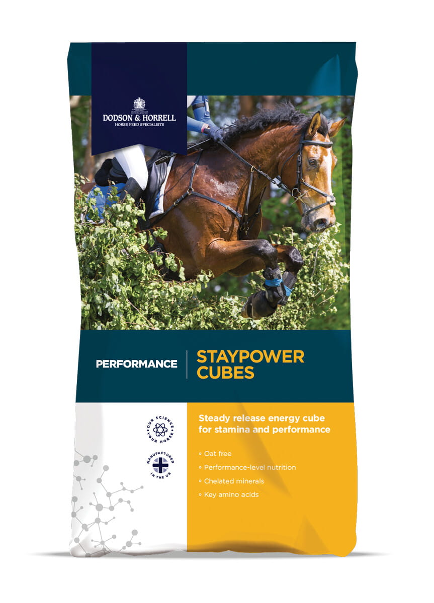 Dodson & Horrell  Staypower Cubes 20kg dla koni w intensywnym treningu - Cavalo