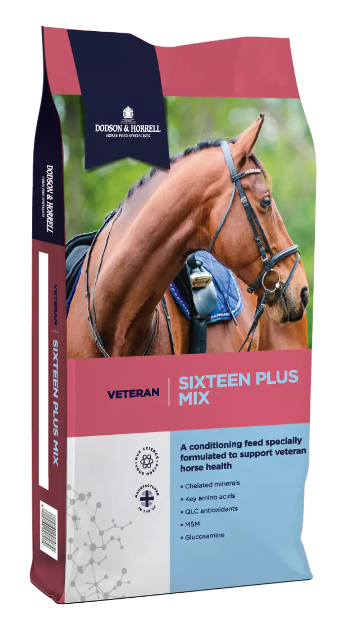 Dodson & Horrell Sixteen Plus Mix Musli dla starszych koni 20 kg