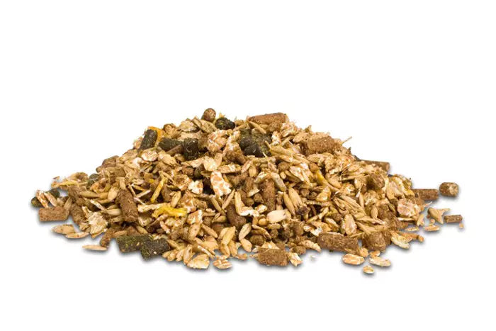 Dodson & Horrell Sixteen Plus Mix Musli dla starszych koni 20 kg