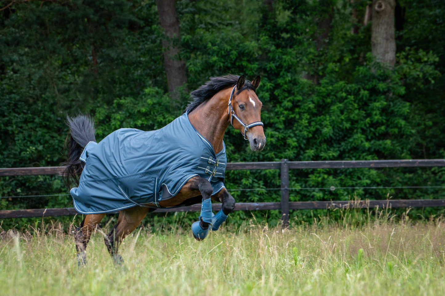 Eskadron Derka padokowa Waterproof Light Classic Sports SS 2026 Ocean