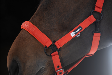 Eskadron DYNAMIC 25 A/W Kantar  SPARKLE Double Poppy Red