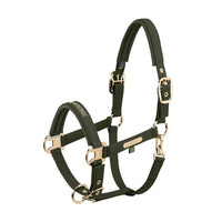 Kantar Eskadron Heritage 26/27 FAUX LEATHER DOUBLE PIN w kolorze Deep Moss